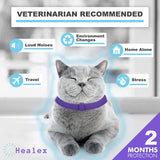 Paila Comfort Calm Collar