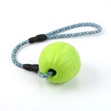 Paila Dog Puzzle Ball Toy