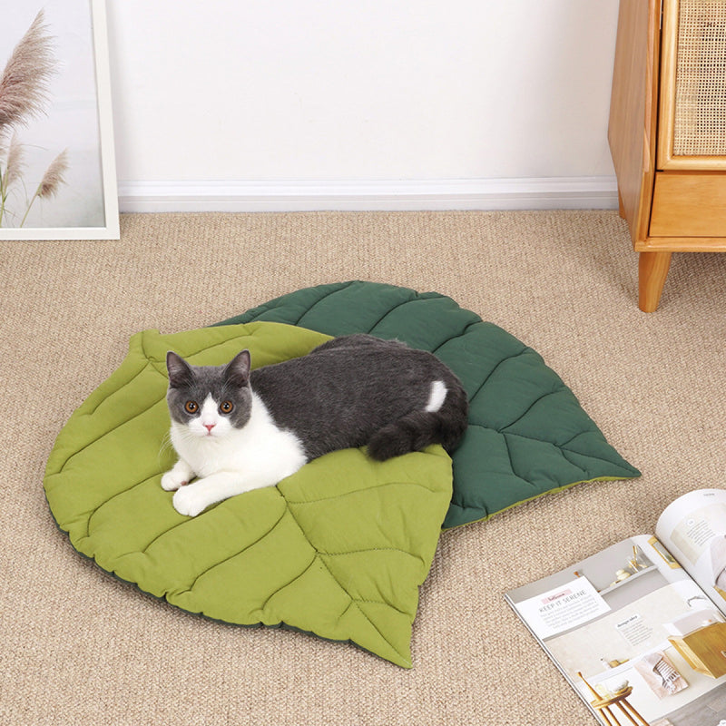 Paila Leaf Shape Crate Mattress