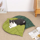 Paila Leaf Shape Crate Mattress