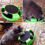 Paila Mouse Cat Scratch Toy
