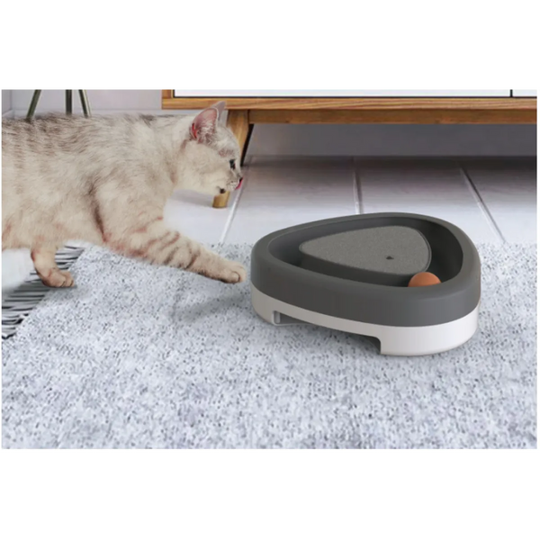 Paila Interactive Cat Turntable Toy