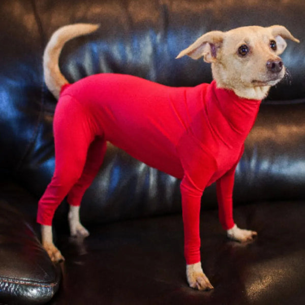 Paila Dog Anxiety Pajama Jumpsuit