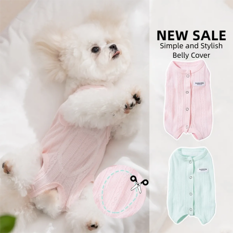 Paila Cat Recovery Comfort Suit
