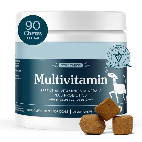 Paila Gut-Health Calming Chews