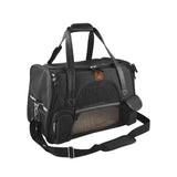 Paila Travel Car Seat Carrier