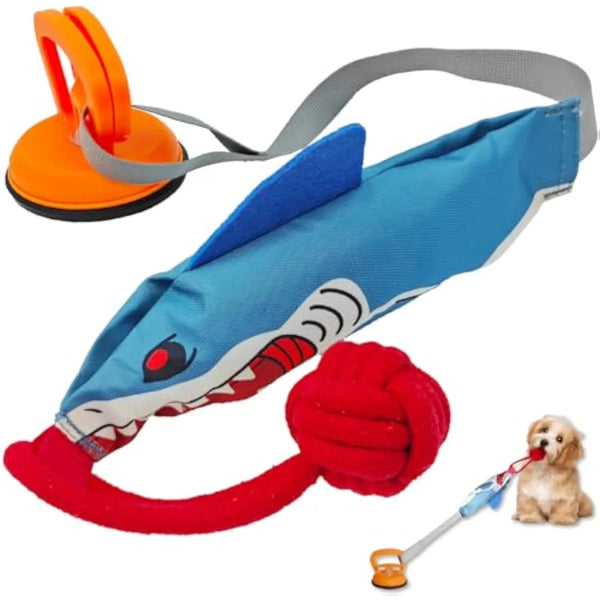 Paila Shark Tug Toy