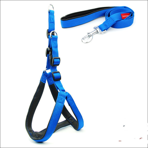 Paila Padded Comfort Harness Leash