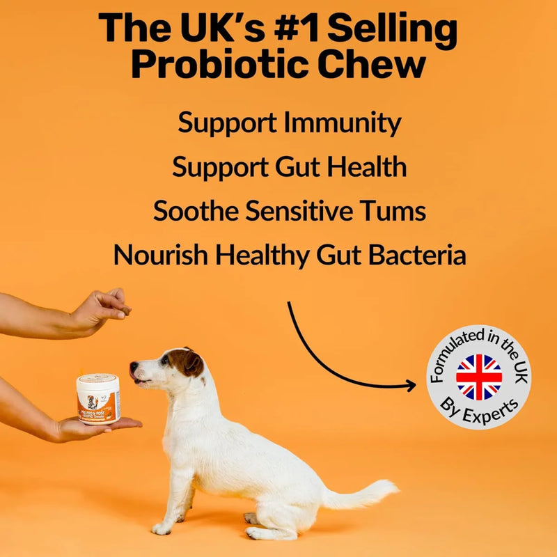 Paila Prebiotic Digestive Snacks