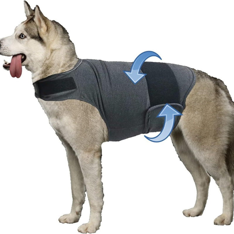 Paila Calming Thunder Jacket for Dogs