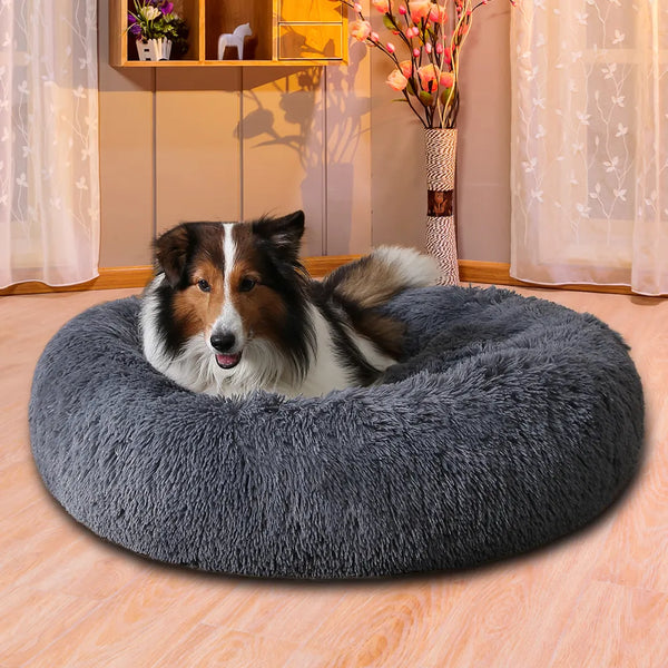 Paila Fluffy Donut Calming Bed