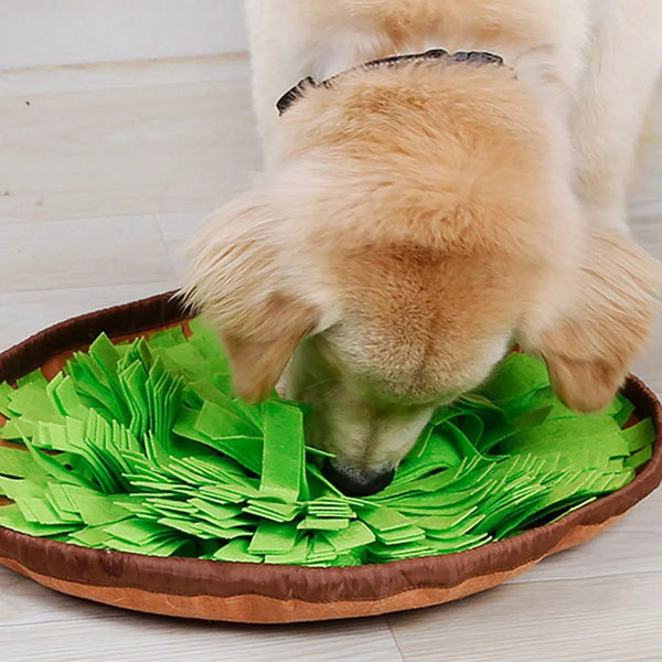 Paila Sniffing Training Bowl