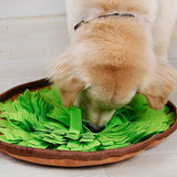 Paila Sniffing Training Bowl