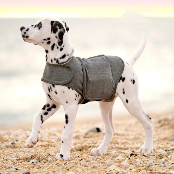 Paila Warm Anxiety Jacket Vest