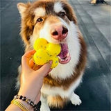 Paila Mellow Calming Support Ball