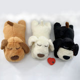 Paila Anxiety Companion Sleep Toy