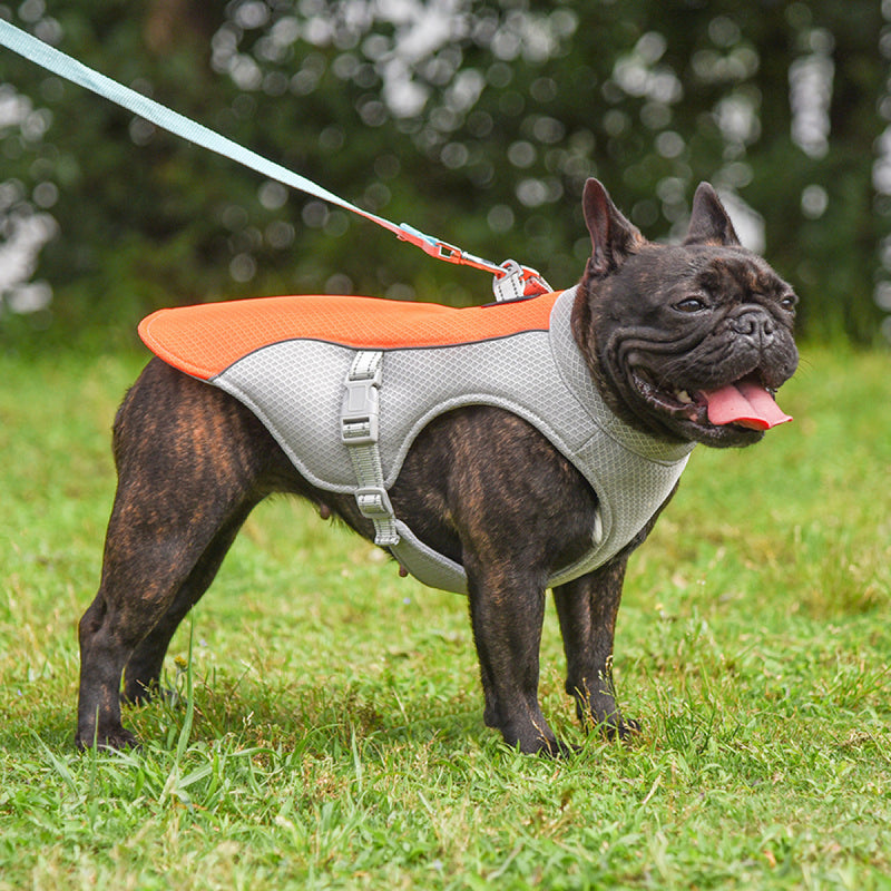 Paila Outdoor Cooling Vest